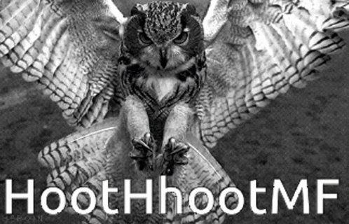 Hoot Hoot Owl GIF - Hoot Hoot Owl Fly GIFs