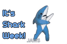 Shark Week Dancing GIF - Shark Week Shark Dancing GIFs