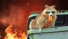 Raccoon Fire GIF - Raccoon Fire Elmo Fire GIFs