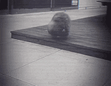 a black and white photo of a person walking on a sidewalk