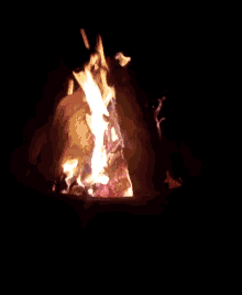 Fire Flame GIF - Fire Flame Bon Fire GIFs