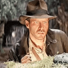 Harrison Ford Indiana Jones GIF - Harrison Ford Indiana Jones Shocked GIFs