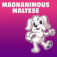 a cartoon dog with the name magnanimous maltese on a pink background
