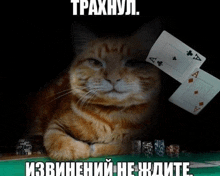 a cat is laying on a poker table with playing cards and chips behind it and a caption in russian
