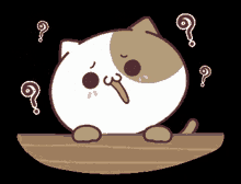 cat sticker line sticker question mark confused curious