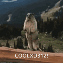 Coolxd312 Gopher GIF - Coolxd312 Gopher Calling Out GIFs