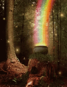 Pot Of Gold Rainbow GIF - Pot Of Gold Rainbow GIFs