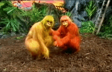 What You Looking At Jungle Run GIF - What You Looking At Jungle Run Sid And Elvis GIFs