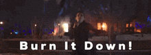 a woman is holding a torch in front of a fire and the words burn it down
