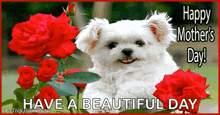 Happy Mothers Day Dog GIF