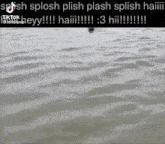 Splish Splosh GIF - Splish Splosh Haiii GIFs