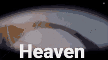 Pgr Rosetta GIF - Pgr Rosetta Heaven GIFs