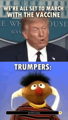 a picture of donald trump next to a picture of ernie from sesame street saying we 're all set to march with the vaccine