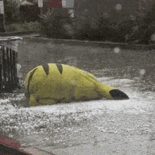 a yellow pikachu is laying in the rain