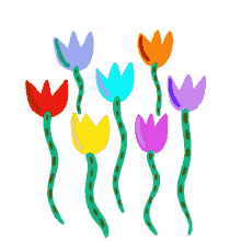 tulips bright
