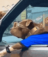 a dog wearing sunglasses and a blue shirt is sitting in the driver 's seat of a car