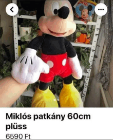 Miklós Patkány GIF