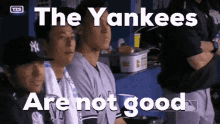 Yankees Da GIF - Yankees Da Dajankees GIFs