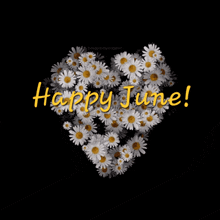 Hello June June GIF - Hello June June Happy June GIFs