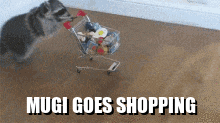 Mugi Raccoon Mugi Goes Shopping GIF