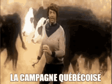 Campagne Campagne Québécoise GIF - Campagne Campagne Québécoise Vaches GIFs