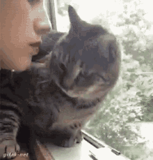 Nope Cat GIF - Nope Cat Avoid GIFs