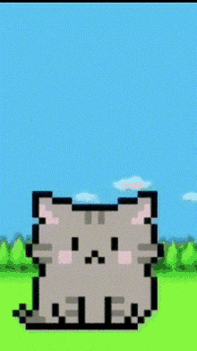 Hi Kot GIF - Hi Kot Cat GIFs
