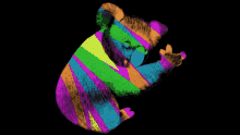 Koala Change Color GIF - Koala Change Color Art GIFs