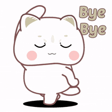 cat kitty cute white bye