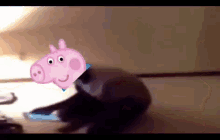 Mlg Peppa GIF - Mlg Peppa Pig GIFs