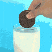 Snack Cookie GIF