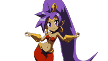 shantae shantae