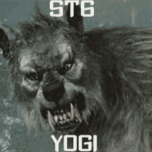 St6 Yogi GIF - St6 Yogi Rawr GIFs