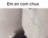 a close up of a person 's face with the words `` em an com chua '' on the bottom .