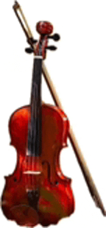 Violin Musical Instrument GIF