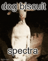 Spectra Brso GIF - Spectra Brso Spectra Operations GIFs