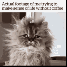 life without coffee good morning beautiful people have a wild week lol actual footage of me trying make sense of life
