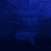 a blue background with white letters that say go go goal