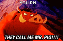 a picture of a cartoon pig with the words " you rn they call me mr pig !!! "