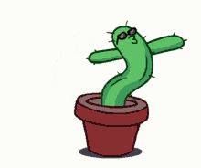 dancing cactus gif