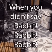Rabbit Rabbit Rabbit April Fools GIF - Rabbit Rabbit Rabbit April Fools Rabbit Rabbit GIFs