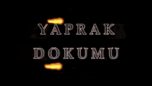 Yaprakbabababa GIF - Yaprakbabababa GIFs