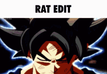 Rat Editor Rat GIF - Rat Editor Rat Edit GIFs