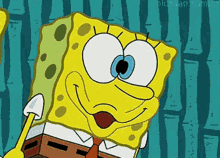 Crazy Spongebob GIF