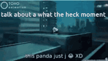 Talk About A What The Heck Moment This Panda Just J GIF