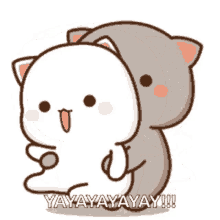 Yay Cat GIF - Yay Cat GIFs