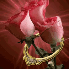 Rose Ring GIF