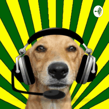 Caramelo Cachorro GIF - Caramelo Cachorro Cachorro Caramelo GIFs