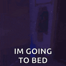 a person is laying on the floor in a dark room with the words `` im going to bed '' written on it .