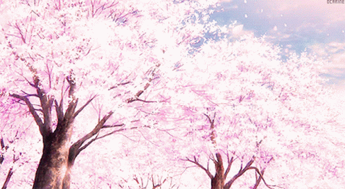 Cherry Blossom Anime GIF  Cherry Blossom Anime  Discover  Share GIFs